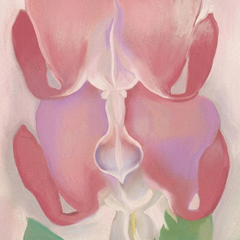 Floral & Botanical