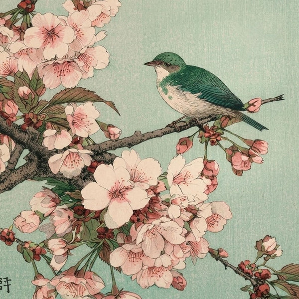 Spring Blossoms
