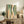 Modern abstract wall art with dotted rhythmic design in forest green, warm coral, and cream, creating a calm and trendy aesthetic.