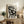 Contemporary abstract portrait with expressive eyes and fluid ink marks in grayscale, experimental wall art print.