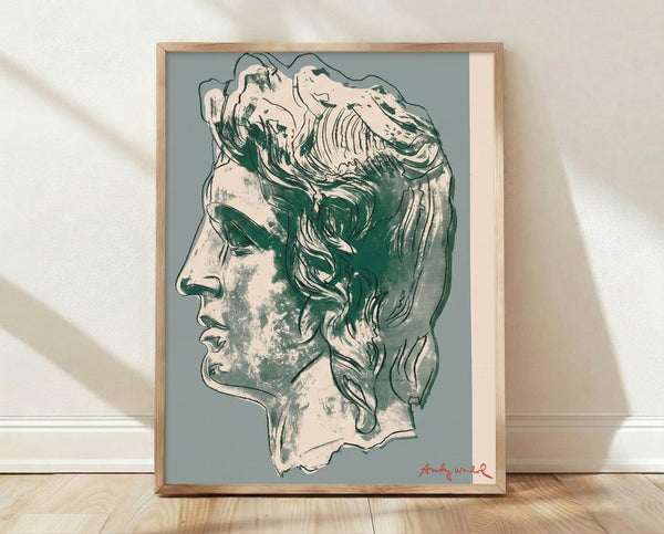Pop art portrait of Alexander the Great in shades of grey and pink, displayed as a framed poster on a wall.
