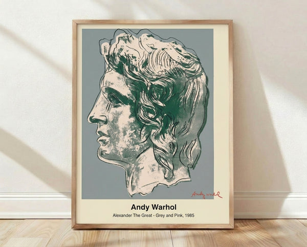 Bold pop art portrait of Alexander the Great in grey and pink tones with stark black outlines, modern framed poster on wall.