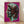 Pop art portrait of Alexander the Great in vibrant pink tones, framed poster with bold graphic style and modern aesthetic.