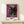 Contemporary Bauhaus-style portrait of Alexander the Great in vivid purple with minimalist black, white, and gold graphic treatment.