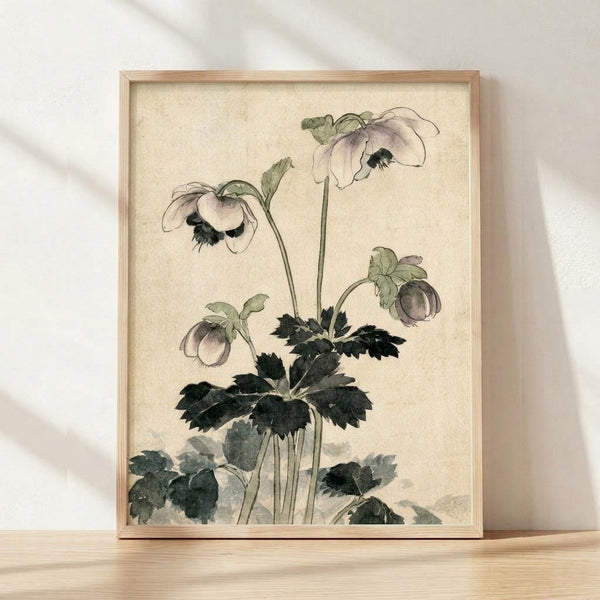 Delicate watercolor and ink botanical study of a hellebore flower with sage green leaves and pale purple petals, framed as a nature art print for wall décor.