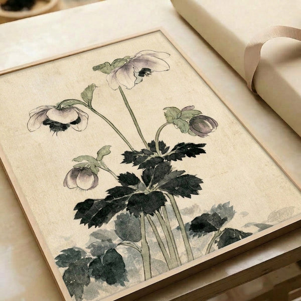 Observational flower study in watercolor and line art showing hellebore petals and delicate leaves in cream, soft gray, and green hues as a wall-mounted poster.