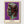 Andy Warhol Alexander The Great Purple Poster poster in oak frame