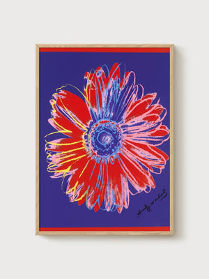 Andy Warhol Daisy Blue Print poster in oak frame