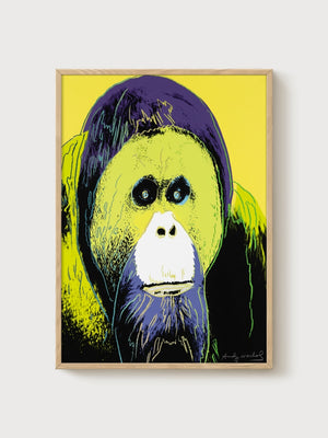 Andy Warhol Orangutan Poster poster in oak frame