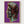 Andy Warhol Alexander The Great Purple Poster poster in oak frame