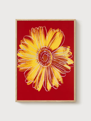 Andy Warhol Daisy Yellow Print poster in oak frame