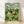 Vintage cottagecore poster art featuring a detailed stag beetle resting on clover flowers in a meadow, rendered in soft teal, butter yellow, forest green, and blush pink tones with a whimsical pastoral mood.