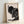 Single-line minimalist illustration of an insect with contemplative, wabi-sabi aesthetic in black and cream tones, framed poster.