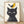 Minimalist line art of a black cat with a contemplative expression facing a small yellow bird, rendered in black and cream tones on a framed poster.