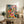 Bauhaus-inspired botanical poster with a joyful composition of flowering plants, green foliage, and a figure among potted arrangements in bold mid-century colors of coral, gold, and emerald.
