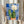 Soft watercolor illustration of a potted blooming cactus with decorative Talavera tiles in rich cobalt blue and warm golden accents, evoking a cozy, cheerful botanical mood.