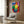 Poster featuring a black and white cat mesmerized by a radiant red fish, styled with vibrant color blocking and an engaging, intimate scene.