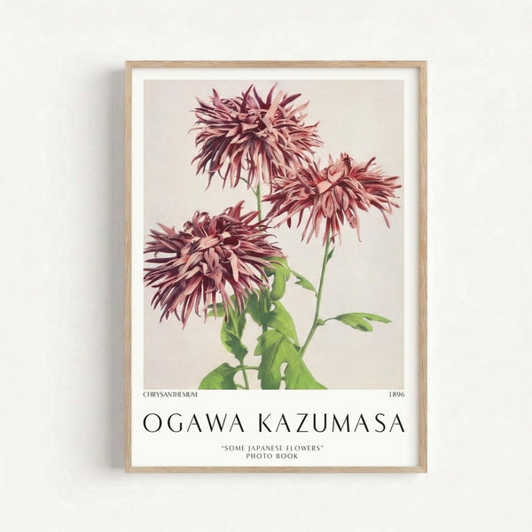 Vintage Japanese floral poster featuring a single chrysanthemum blossom in soft pink and burgundy tones with refined botanical detail and Art Nouveau sensibility.