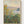 Claude Monet Flower Beds at Vetheuil Poster poster in oak frame