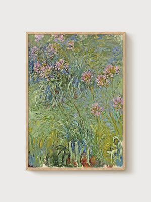 Agapanthus Flower by Claude Monet poster in oak frame