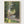 Claude Monet Parc Monceau Print poster in oak frame