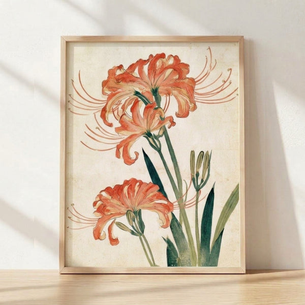 Delicate watercolor study of a red spider lily with coral blooms and sage green stems, painted in soft vintage botanical style on cream background, framed as wall art.