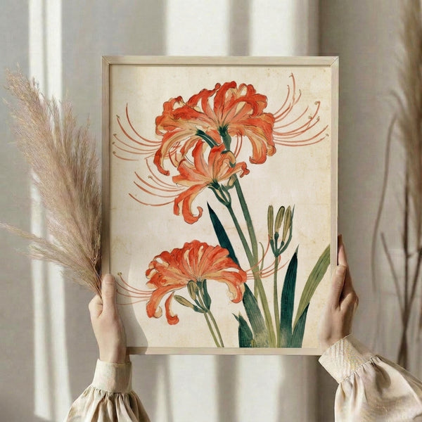 Soft watercolor artwork depicting a graceful spider lily with coral-red blooms and leafy green stems, capturing delicate botanical detail in antique aesthetic.