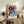 Framed pop art poster showcasing a cow head in striking orange and electric blue palette with high-contrast graphic style.