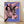 Pop art poster featuring a cow's head in vibrant pink against a bold purple background, displayed as a framed wall print in a modern interior.
