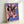 Colorful pop art cow design with pink subject matter contrasting against a rich purple backdrop, shown as a framed poster on a wall.