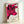 Pop art cow illustration in vivid red and white with thick black contours, a subversive kitsch masterpiece displayed as a framed poster.