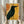 Whimsical crowned crow wall art in vintage-inspired design, featuring a mysterious black bird adorned with gold accents and a decorative key, displayed as a framed poster in mid-century modern aesthetic.
