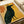 Framed poster art depicting a mysterious crowned raven holding a key, executed in modern minimalist style with a sophisticated color scheme of gold, black, muted green, and warm russet hues.