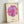 Vibrant pop art daisy poster in saturated pink and magenta hues with striking black outlines, creating a whimsical and modern take on floral wall art.