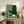 Modern Japandi poster showcasing a meditative turtle scene with desert plants in muted sage green and cream palette, creating a calming contemplative mood.