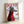 Stylish framed dog breed poster displaying a graceful whippet in a modern magazine cover aesthetic with red, white, black, and gray color palette.