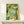 Impressionist-style watercolor art depicting peaceful ducks in a tranquil pond with marsh vegetation, painted in muted greens, cream, and teal blues creating a pastoral scene.