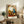 Abstract surrealist framed artwork depicting interior elements through curious, flowing shapes in rust, cream, and teal tones with dreamlike composition.