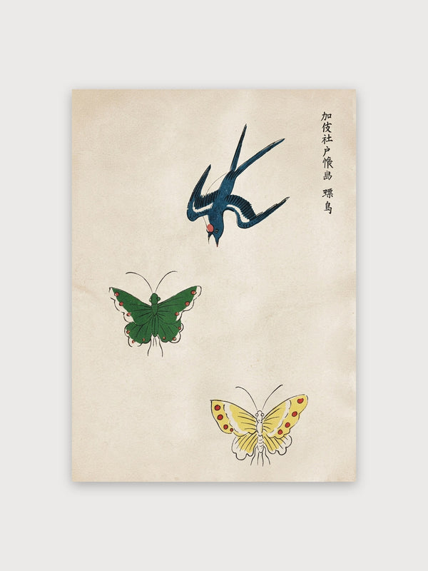 Japanese Natural History Study Birds Butterflies - Digital Download