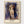 Edvard Munch Poster poster in oak frame