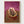Francis Bacon Lying Figure Poster poster in oak frame
