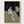 Francis Bacon Seated Figure Print poster in oak frame