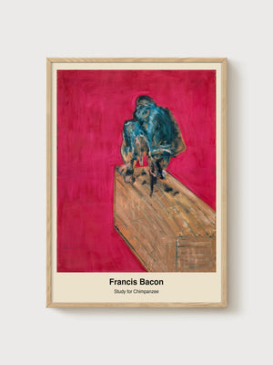 Study for Chimpanzee poster in oak frame