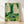 Framed vintage minimalist poster featuring a golden beetle surrounded by forest greenery, ferns, and mushrooms in cream, forest green, and teal tones.