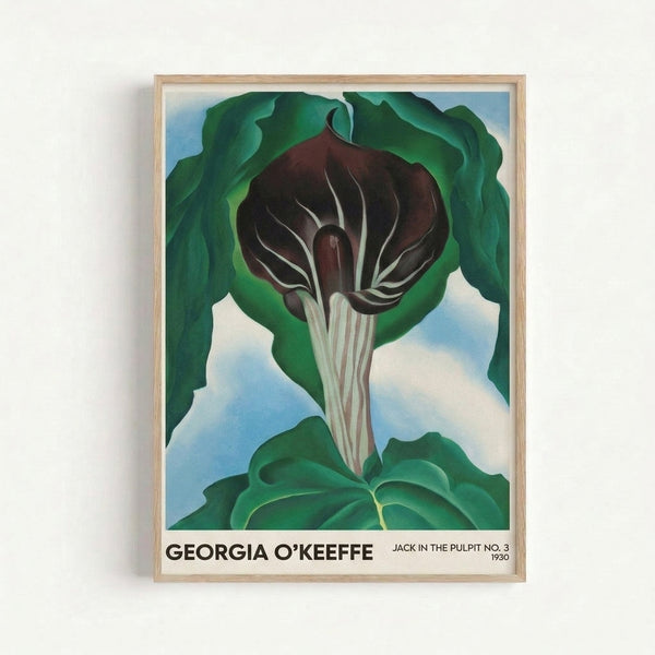 Minimalist floral art print displaying layered organic forms of a jack in the pulpit bloom in rich jewel tones and soft whites, evoking contemplative botanical beauty.