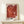 Sensual arrangement of deep red and blush-pink canna blooms in soft focus, creating a dreamy, introspective mood in framed gallery art.