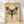 Gothic line art poster featuring a death's head moth with intricate wings and skull imagery framed above sepia and cream tones, surrounded by thorns, roots, and flickering candles in a haunting, mystical composition.