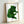 Contemporary pop art print showing a striking green feline portrait with flat color fields and bold outlines, mounted and framed for wall display.