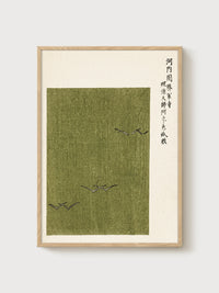 Olive Bird Flight