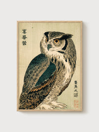 Japanese Owl Print